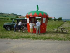 aardbei huisje Aardbeien verkoop kiosk ergens in Duitsland