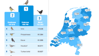 tuinvogeltelling 2013