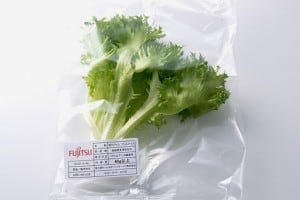 Fujitsu sla