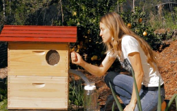 honeyflow-handle