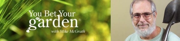you-bet-your-garden