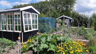moestuin in juni