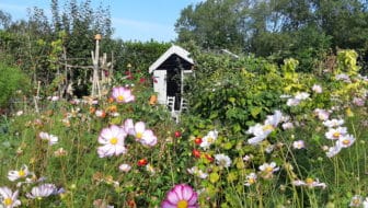 Moestuintips voor oktober